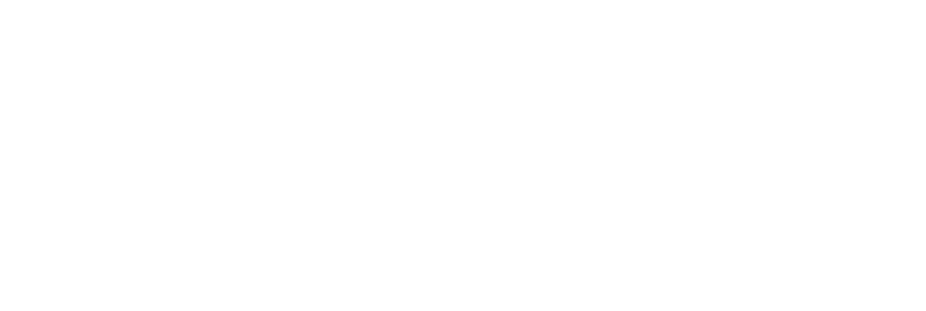 Brazilian Bureau